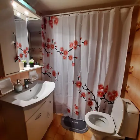 Cozy Flat Near The City Center *
